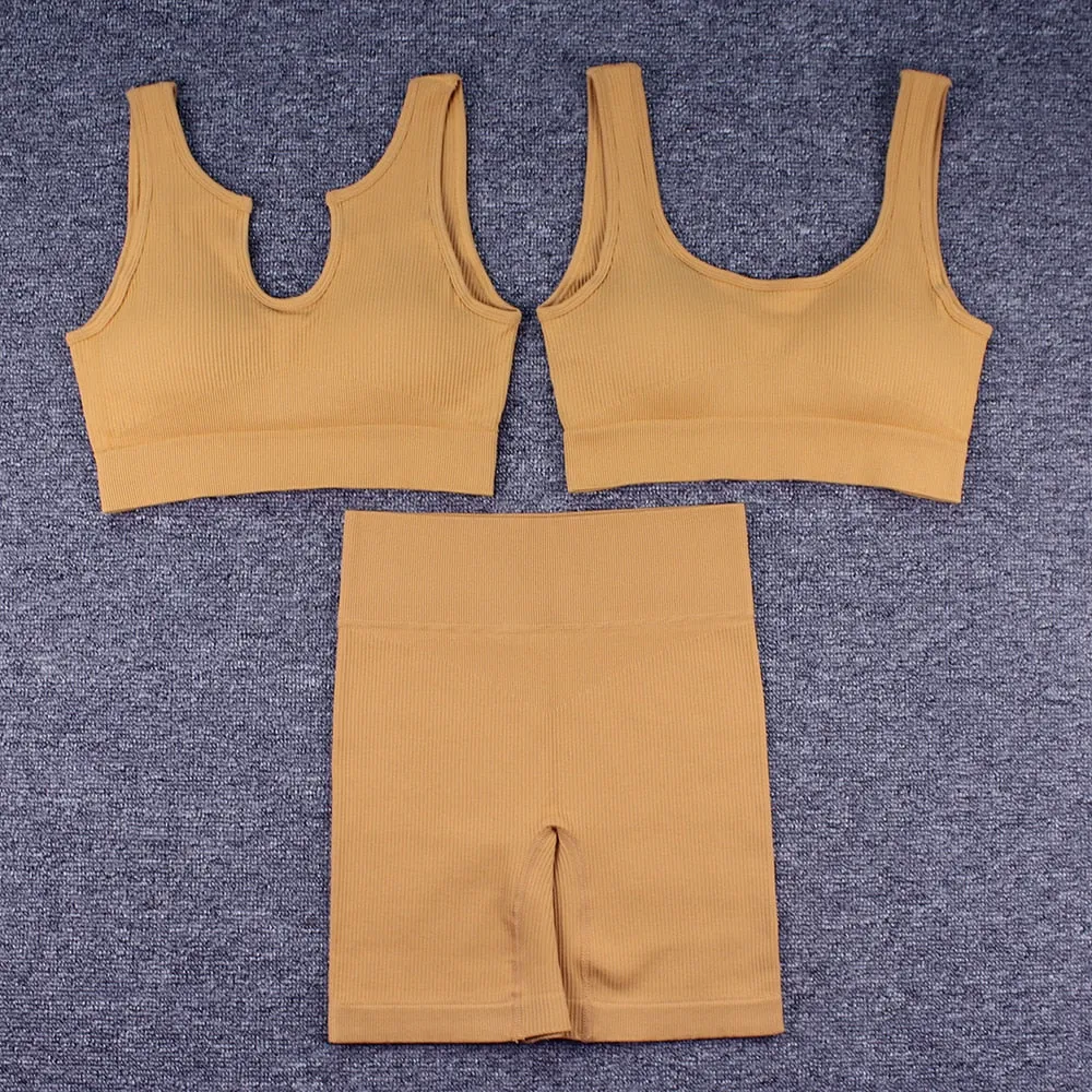 Seamless Yoga Set 2/3/4 Piece Gym Set Women Ribbed Crop Top Shorts Suits Fitness Sports Bra Leggings Running Outfits Tracksuit v2