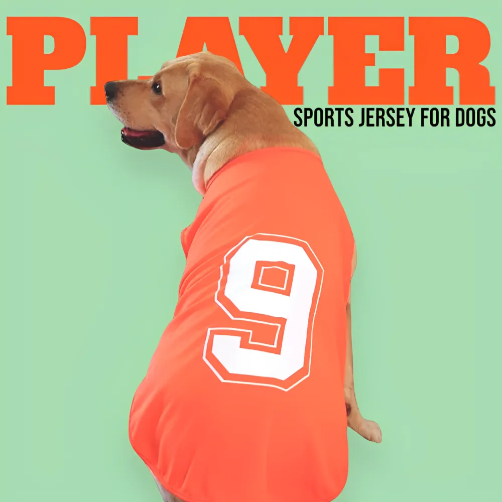 Talking Dog Club Player Ltd Edition Sports Tshirt for Dogs (Orange)