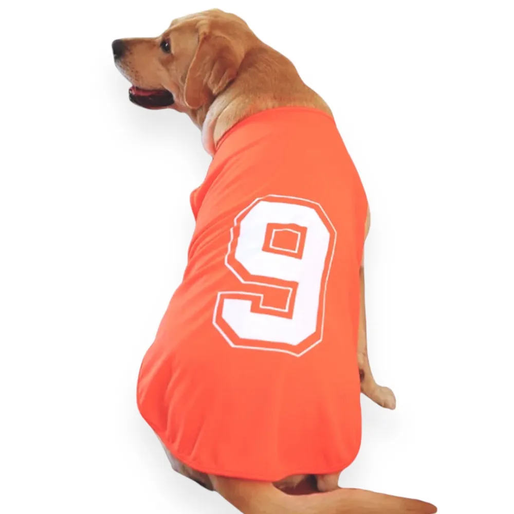 Talking Dog Club Player Ltd Edition Sports Tshirt for Dogs (Orange)